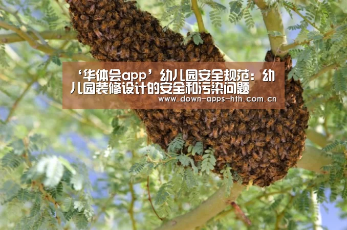 ‘华体会app’幼儿园安全规范:幼儿园装修设计的安全和污染问题(图4) 华体会app
