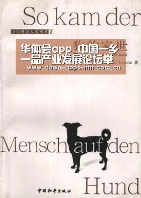 华体会