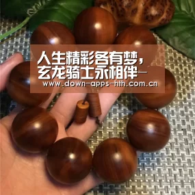 华体会