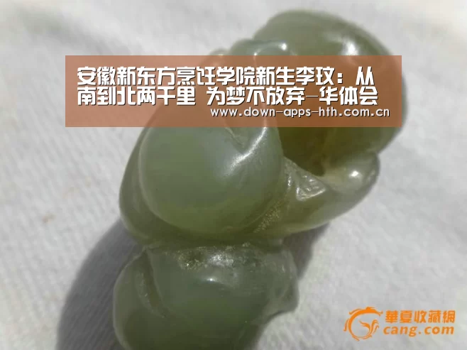 安徽新东方烹饪学院新生李玟:从南到北两千里 为梦不放弃-华体会(图4) 华体会