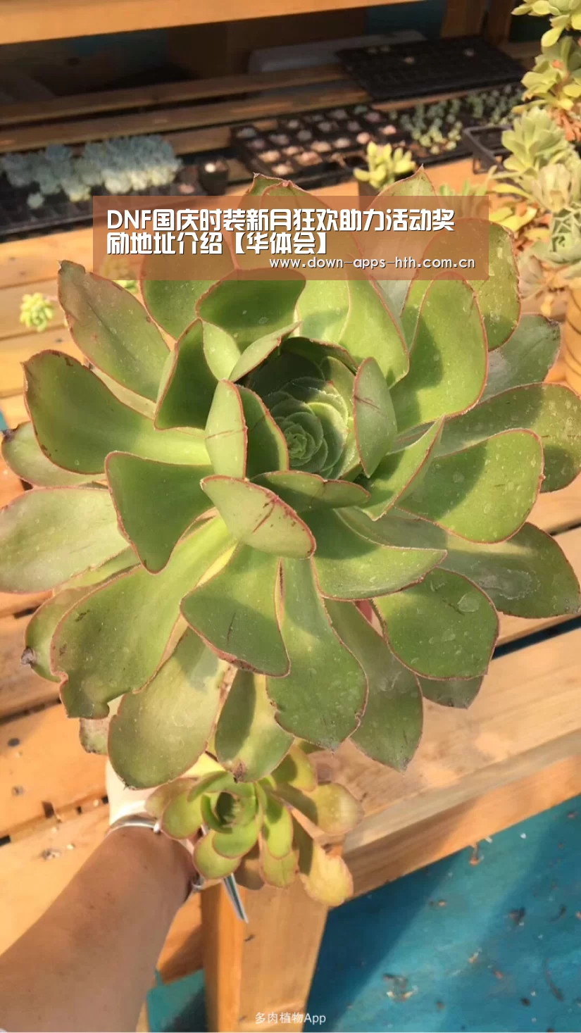 DNF国庆时装新月狂欢助力活动奖励地址介绍【华体会】(图2) 华体会